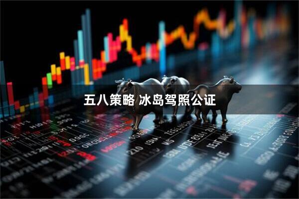 五八策略 冰岛驾照公证