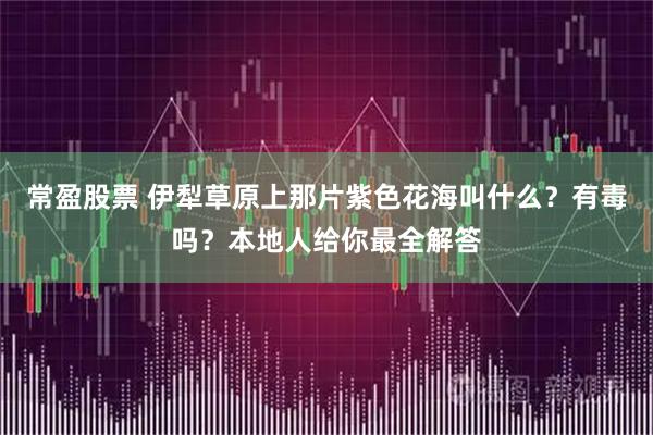 常盈股票 伊犁草原上那片紫色花海叫什么？有毒吗？本地人给你最全解答